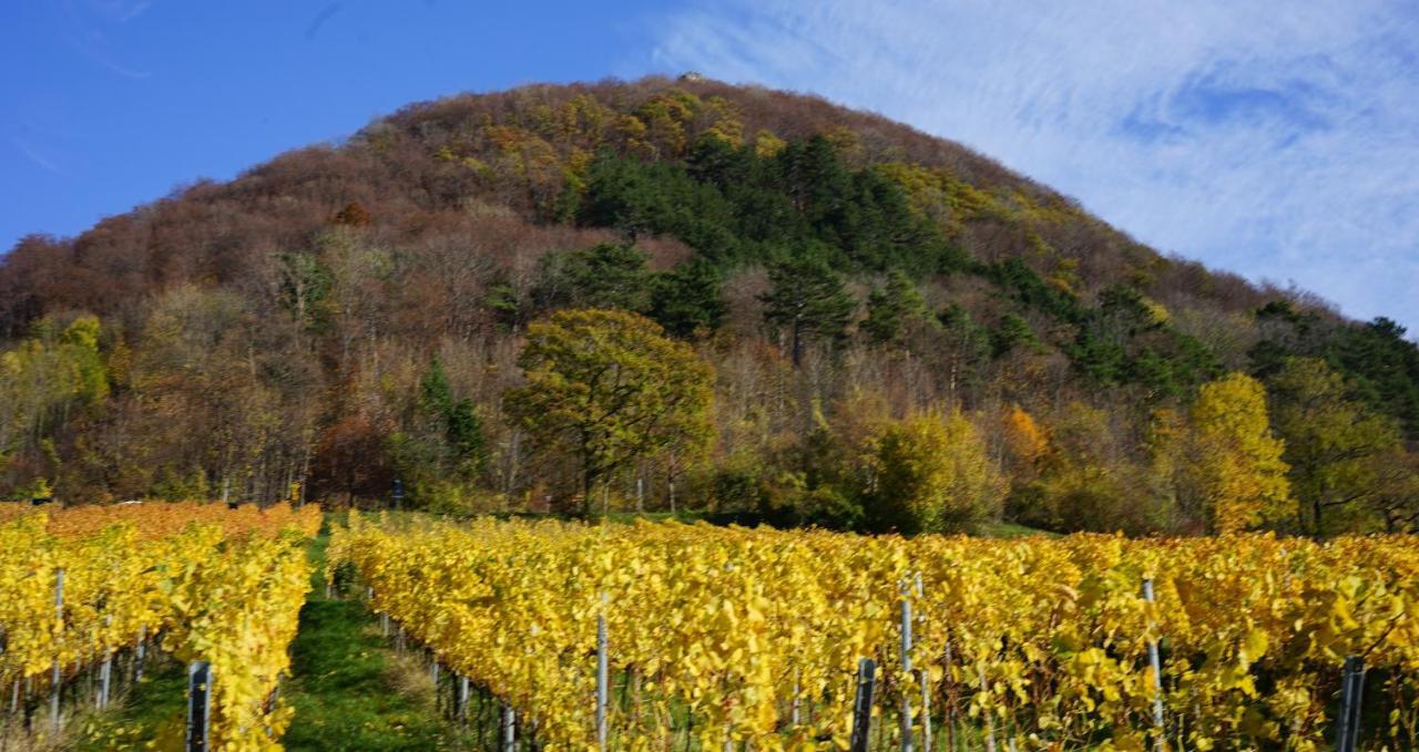 Beurener Hof บอยเรน ภายนอก รูปภาพ